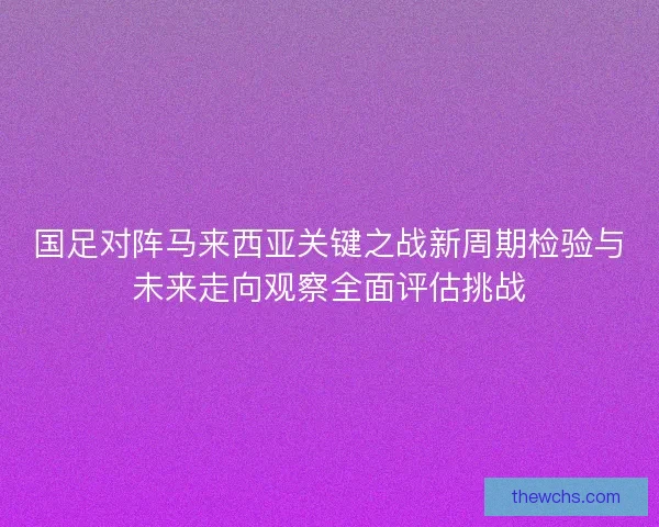 国足对阵马来西亚关键之战新周期检验与未来走向观察全面评估挑战
